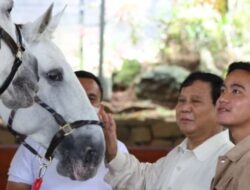 Prabowo Dipandang Sebagai Politisi Muda yang Visioner dalam Mencapai Indonesia Emas dengan Menggaet Cawapres.