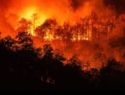 Api semakin membesar saat Blok Tegal Alun Gunung Papandayan di Garut terbakar