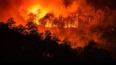 Api semakin membesar saat Blok Tegal Alun Gunung Papandayan di Garut terbakar