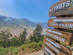 Menurun Drastis Wisata Gunung Bromo setelah Terjadi Kebakaran Hutan