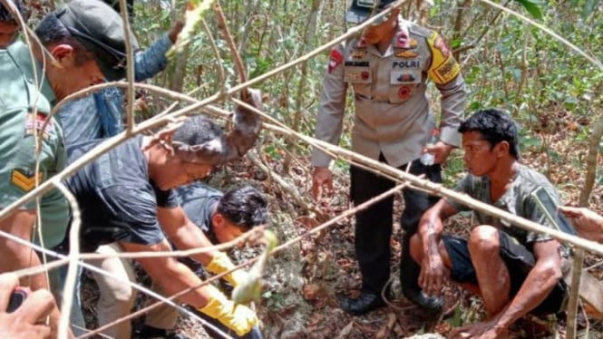 Heboh: Ular Piton Diduga Memangsa Manusia, Tinggalkan Kerangka di Hutan Buton