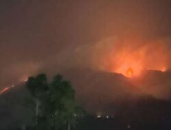 Kerusakan Hutan di Gunung Merbabu Akibat Kebakaran Belum Terkendali