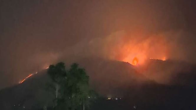 Kerusakan Hutan di Gunung Merbabu Akibat Kebakaran Belum Terkendali