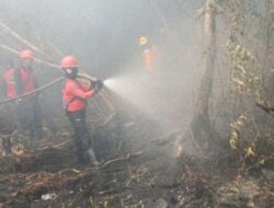 BMKG: Upaya Sumsel dalam Tekan Titik Panas Karhutla Berjalan Baik, Mitigasi Pencegahan Efektif