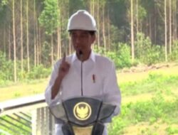 PLTS di IKN Mengubah Paradigma, Jokowi: Inisiatif Utama dalam Penyediaan Energi Terbarukan