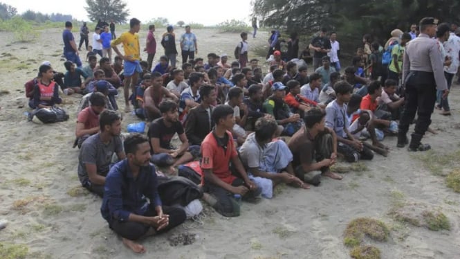 Agen Penyelundup Rohingya Diamankan karena Memiliki Kartu UNHCR, Ditentukan Biaya Rp14 Juta per Orang