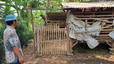 Warga Depok Menyaksikan Pencurian Kambing dengan Modus Sisakan Jeroan yang Mengerikan