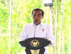 Jokowi Meluncurkan Transportasi Berkelanjutan di IKN, Bluebird Berinvestasi Rp 250 Miliar