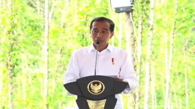 Jokowi Meluncurkan Transportasi Berkelanjutan di IKN, Bluebird Berinvestasi Rp 250 Miliar