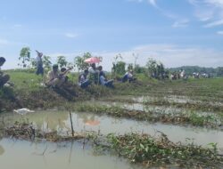 Caleg DPR RI Dapil Jabar X Rokhmat Ardiyan Menguasai Keterampilan Menarik Suara Melalui Mancing Mania di Pangandaran