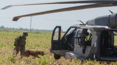 Keliru Tergolong Sasaran! 5 Turis Menjadi Korban Kekejaman Kartel Narkorba