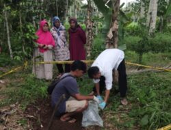 Misteri Kawanan Bayi Terkubur di Tanah Tanggamus Lampung