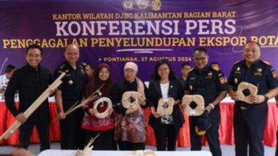 Bea Cukai Menggagalkan Penyelundupan 50,3 Ton Rotan Ilegal yang Akan Dikirim ke Tiongkok